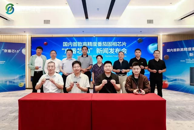 国内首款番茄育种芯片“京番芯1.0”发布  昨日下午，国内首款具有完全自主知识产权的高精度番茄育种固相基因芯片“京番芯1.0”在北京城市副中心正式发布，标志着我国番茄育种核心工具长期依赖进口的“卡脖子”局面被打破，番茄种业正式迈入自主可控的“中国芯”时代。 近5000个核心位点 精准覆盖关键农艺性状 “京番芯1.0”是为番茄分子育种量身打造的产业级芯片，包含近5000个核心位点，位点在番茄染色体上均匀分布，覆盖产量、品质、抗病虫、抗 [date
